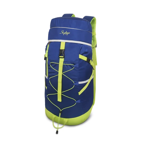 skybags trekking bag